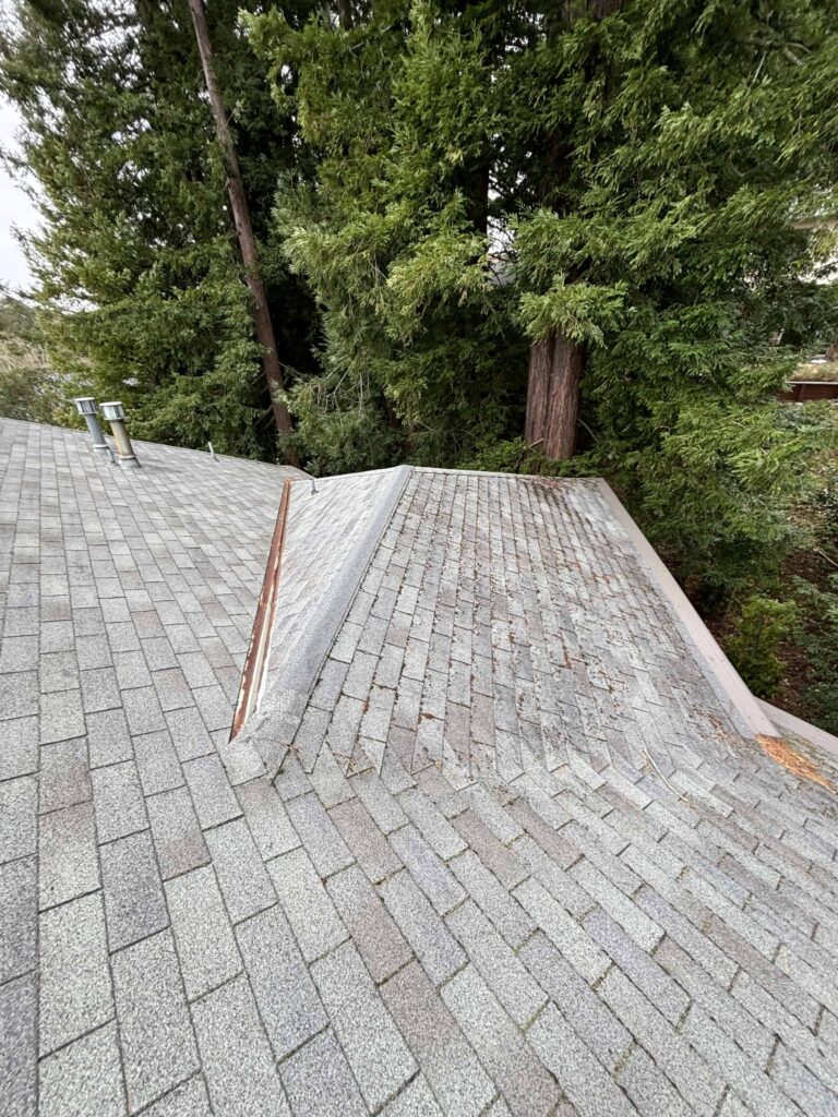 Roof Repair San Jose crew inspecting damaged shingles